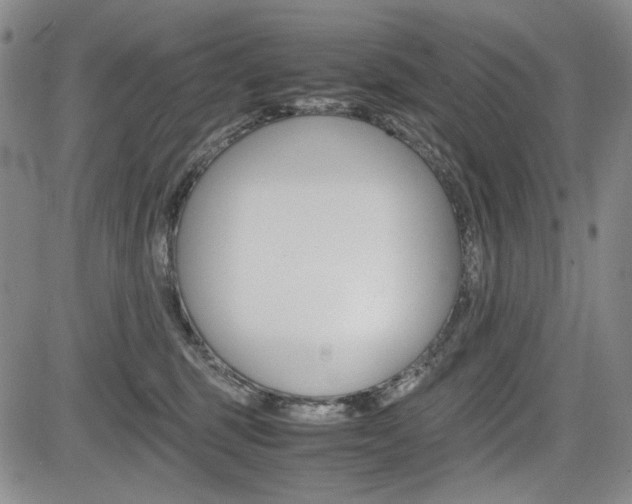 X0000085790375200703160940