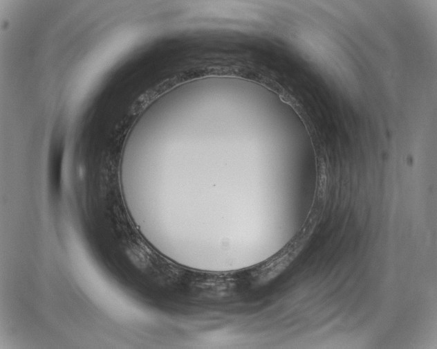 X0000085790383200703160940