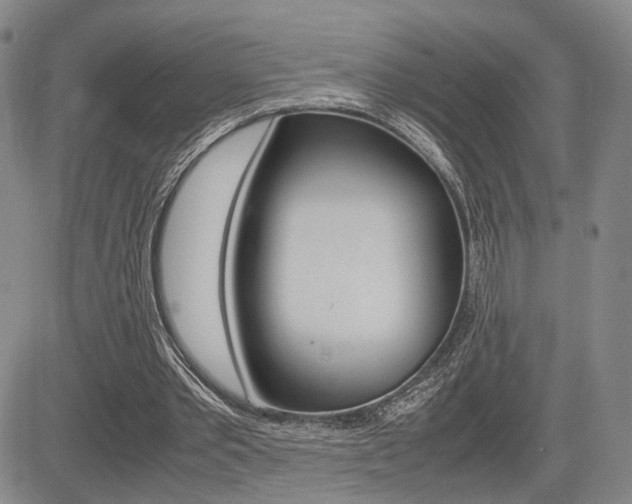 X0000085790389200703160939