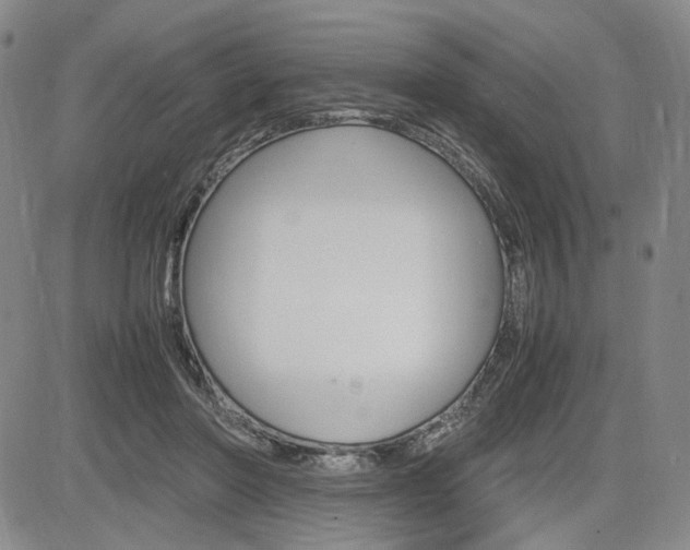 X0000085790406200703160939