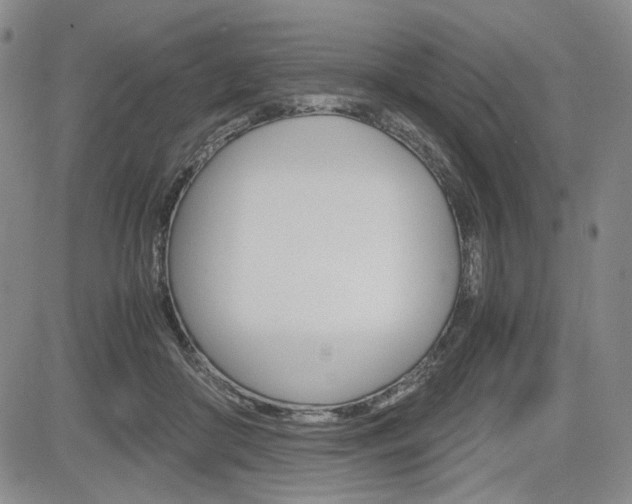 X0000085790410200703160939