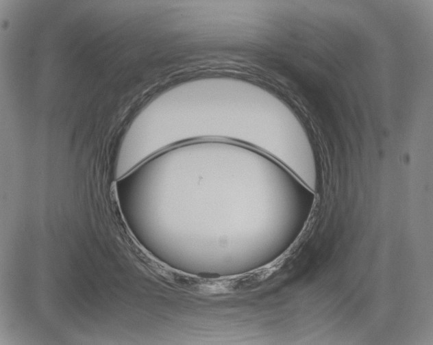 X0000085790411200703160939