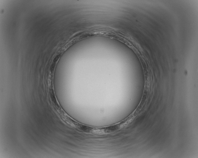 X0000085790413200703160939