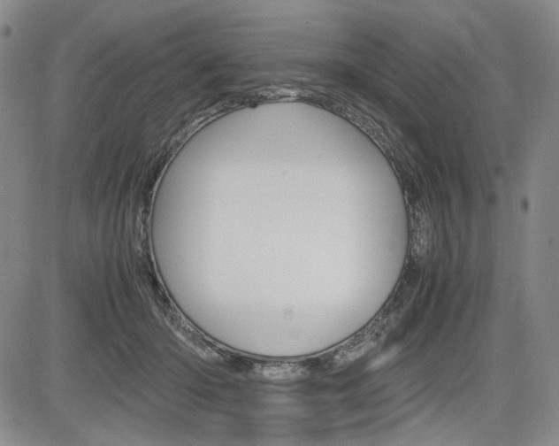 X0000085790414200703160939