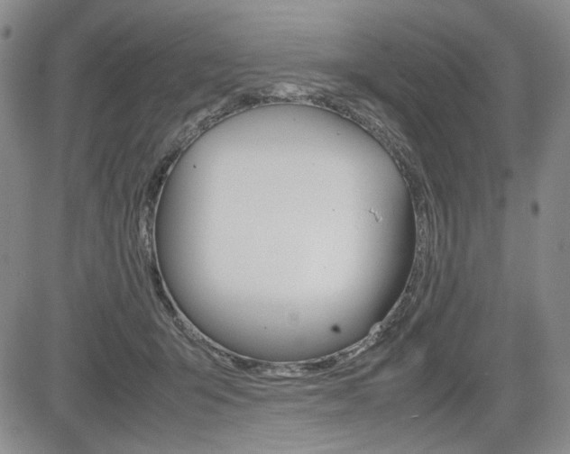X0000085790415200703160939