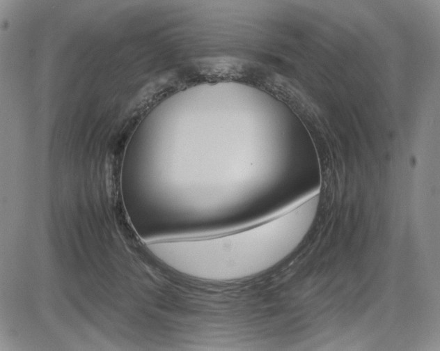 X0000085790416200703160939