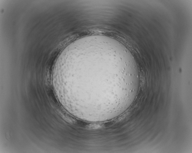 X0000085790418200703160939