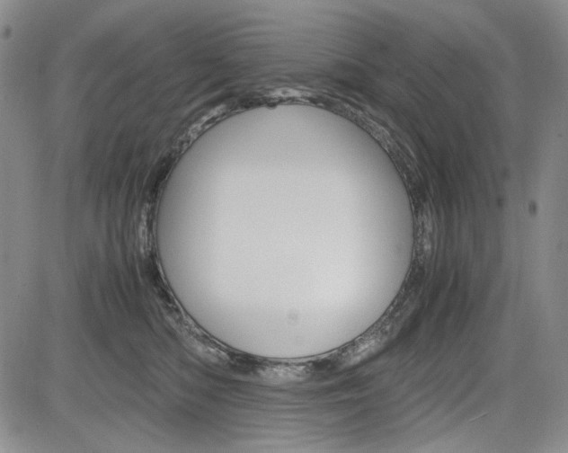 X0000085790422200703160938