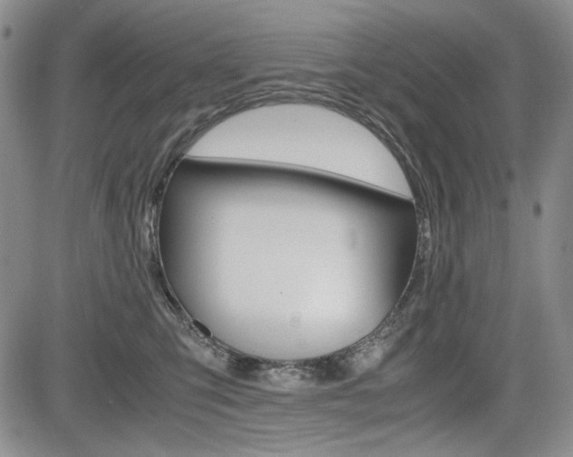 X0000085790423200703160938