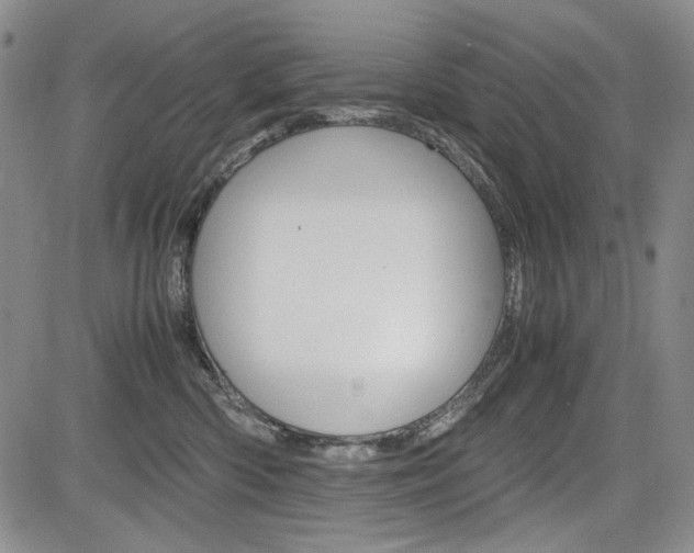 X0000085790426200703160938