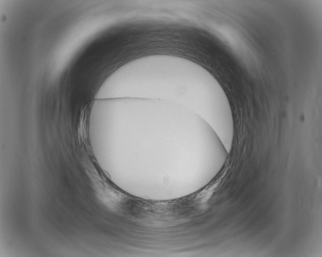 X0000085790431200703160938