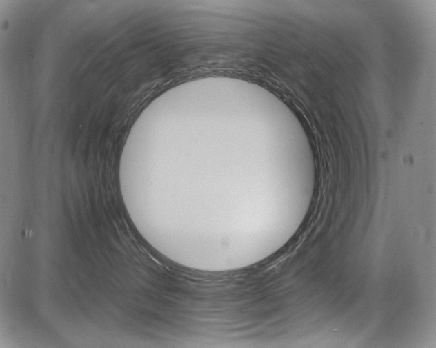 X0000085790432200703160938