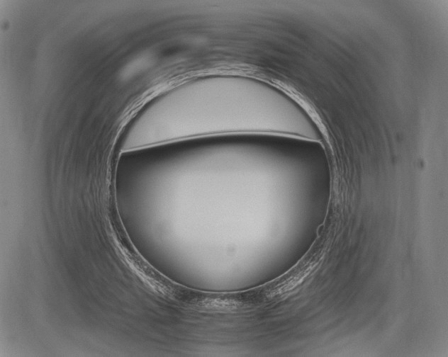 X0000085790437200703160938