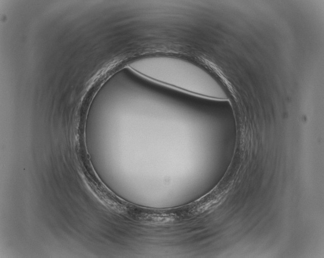 X0000085790443200703160938