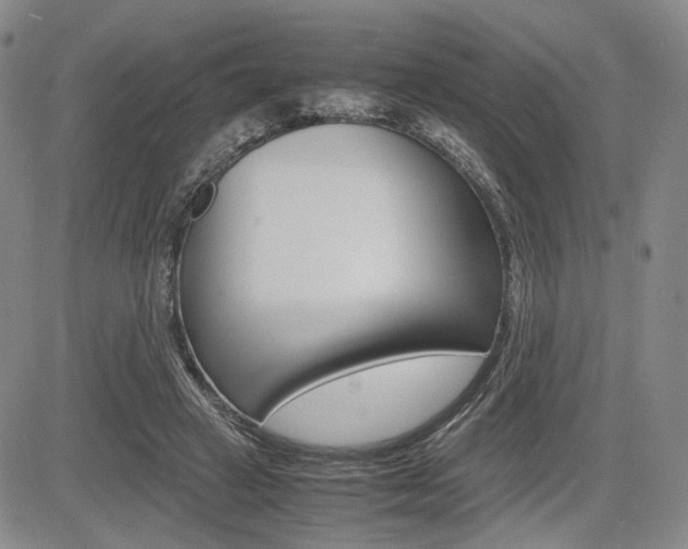 X0000085790449200703160938