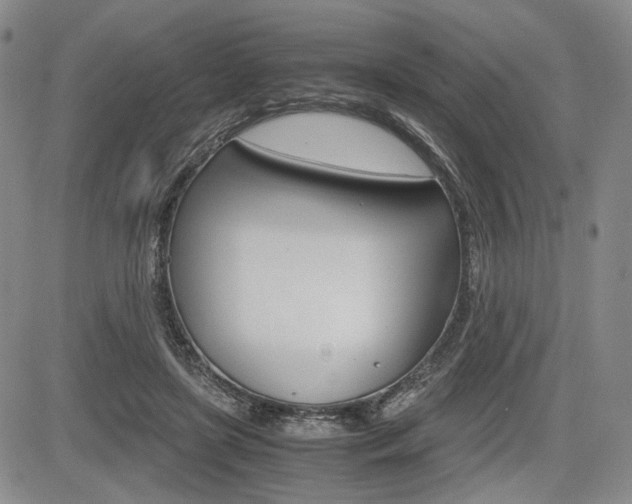 X0000085790451200703160938