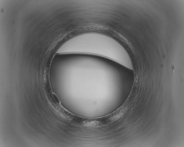 X0000085790452200703160938