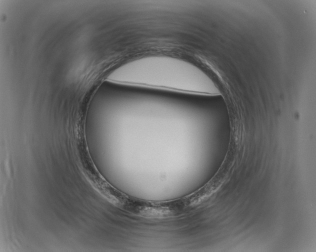 X0000085790455200703160938