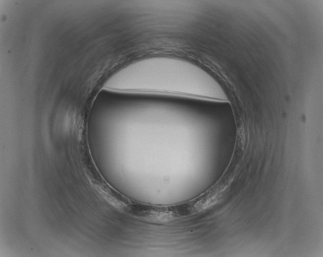 X0000085790458200703160938