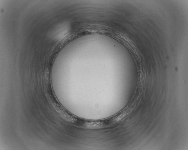 X0000085790461200703160938