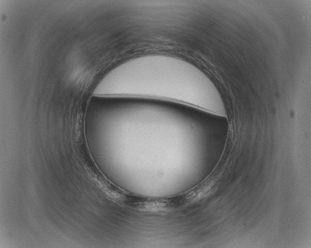 X0000085790462200703160938