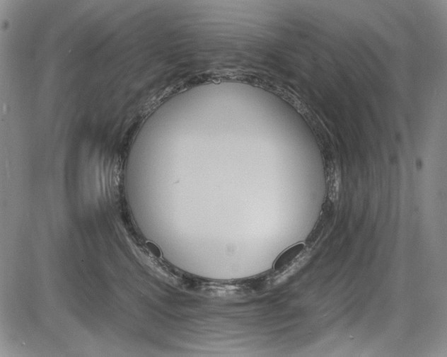 X0000085790472200703160938
