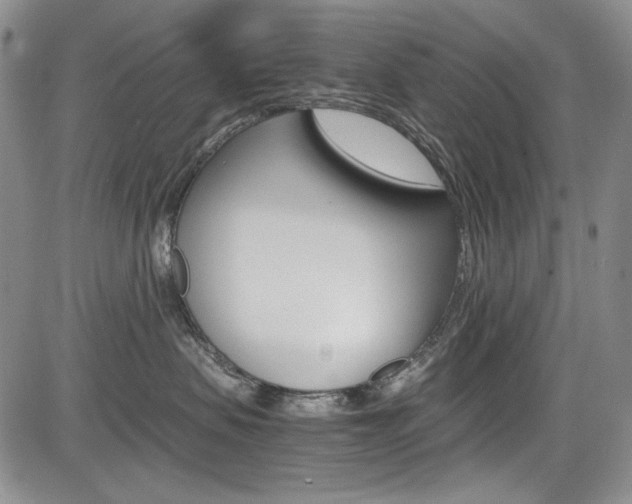 X0000085790479200703160938