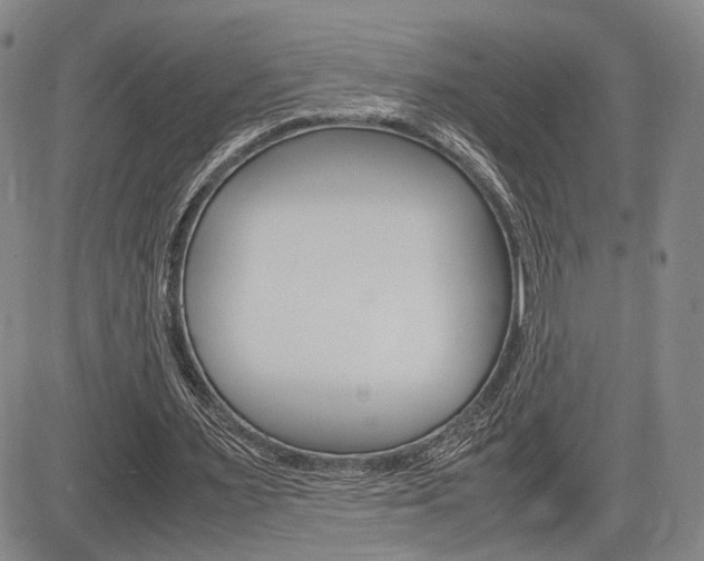 X0000085790483200703160937