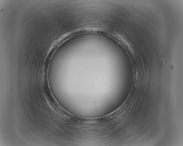 X0000085790492200703160937