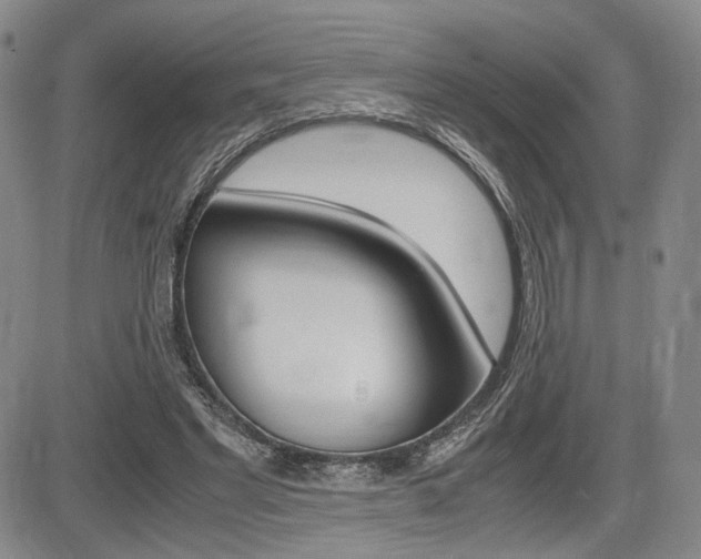 X0000085790493200703160937
