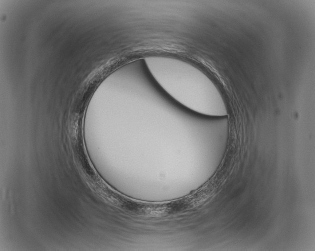 X0000085790495200703160937