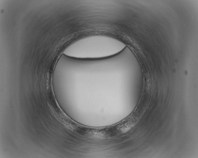 X0000085790498200703160937