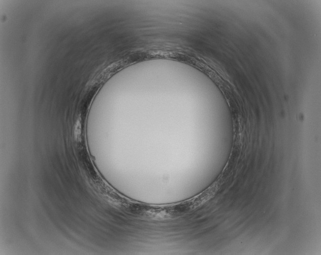 X0000085790502200703160937