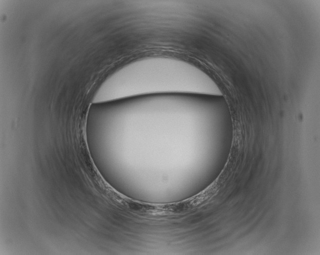 X0000085790504200703160937