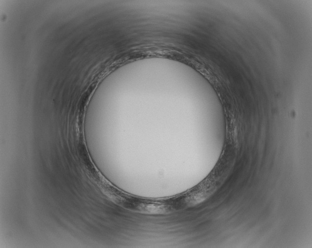 X0000085790506200703160937