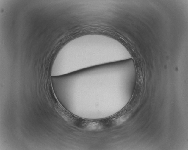 X0000085790507200703160937