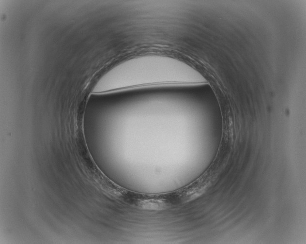 X0000085790508200703160937