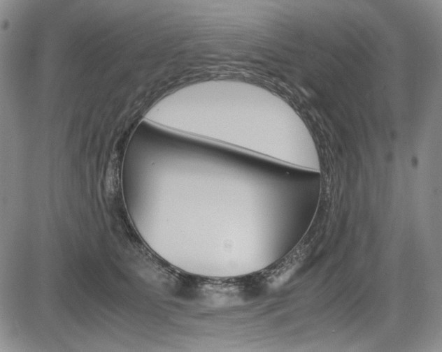 X0000085790515200703160937