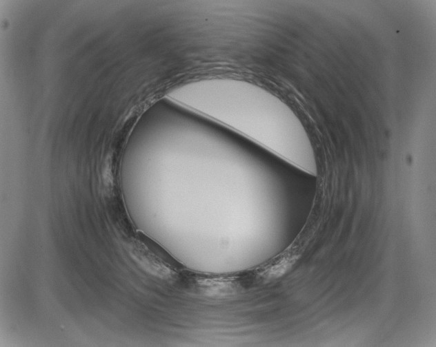 X0000085790516200703160937