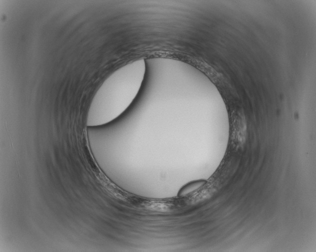 X0000085790518200703160937