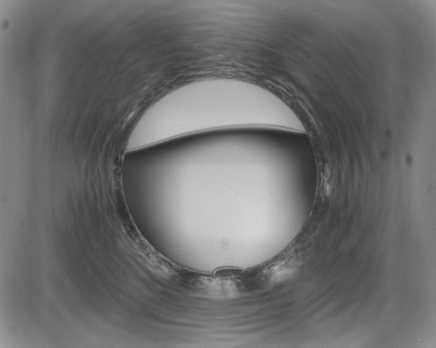 X0000085790520200703160937