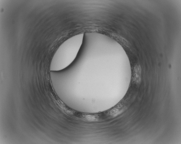 X0000085790522200703160937