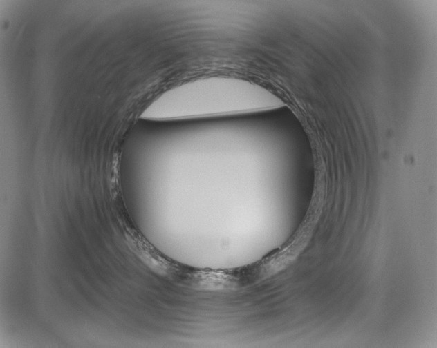 X0000085790528200703160937