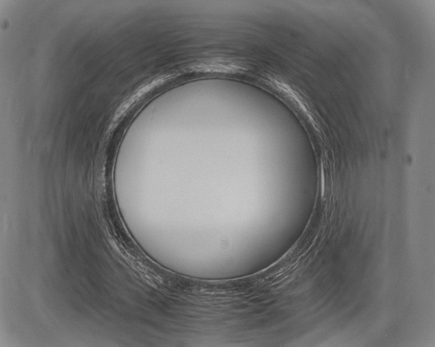 X0000085790531200703160936