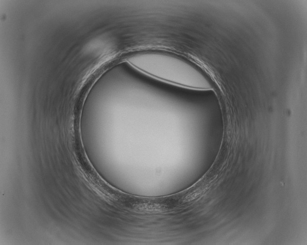X0000085790535200703160936