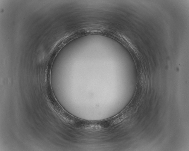 X0000085790543200703160936