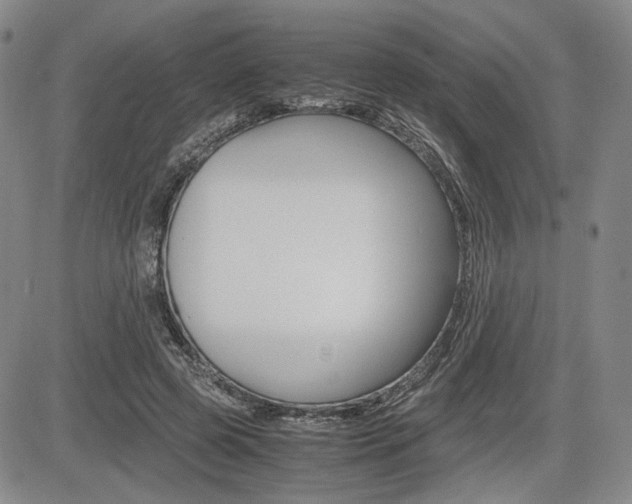 X0000085790545200703160936