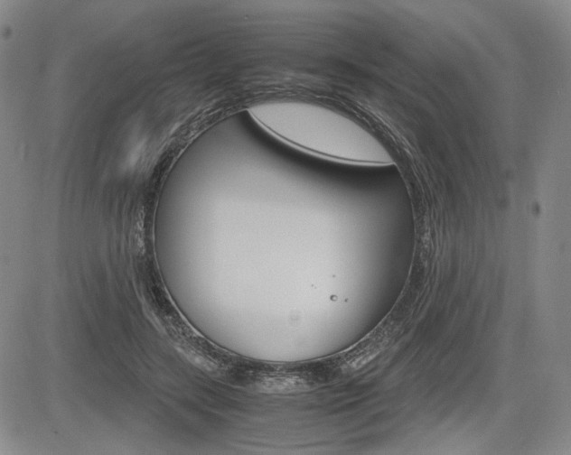 X0000085790547200703160936