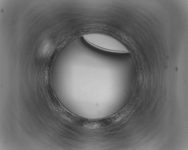 X0000085790551200703160936