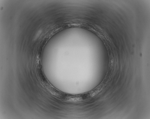 X0000085790555200703160936